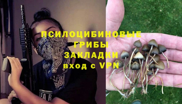 соль ск Алексин