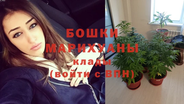 PSILOCYBIN Абаза