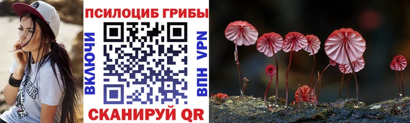 площадка состав  Котово  Галлюциногенные грибы прущие грибы 